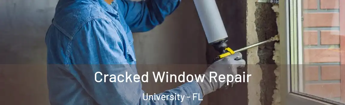  Cracked Window Repair University - FL