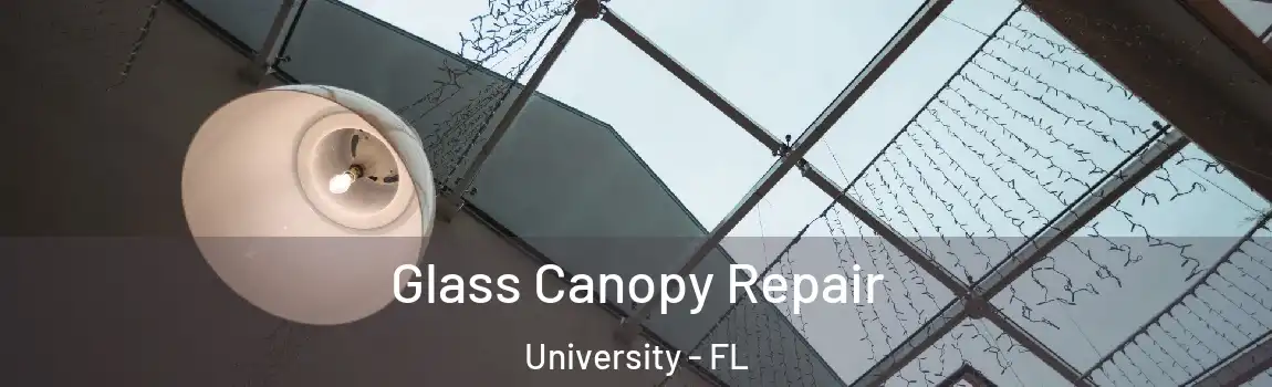  Glass Canopy Repair University - FL