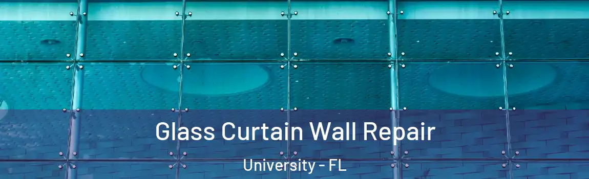 Glass Curtain Wall Repair University - FL