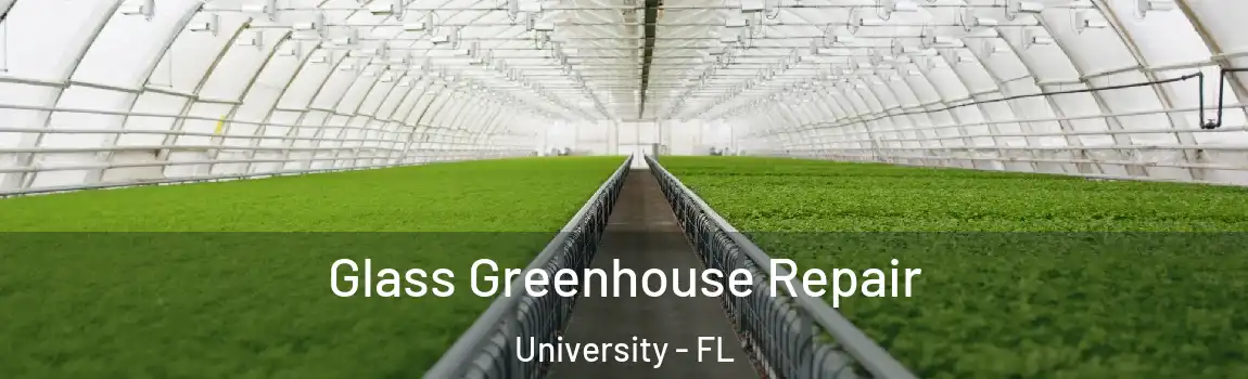  Glass Greenhouse Repair University - FL