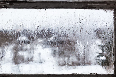 Defogging Double Pane Windows in University, FL
