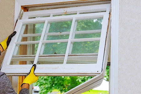 Window Replacement in University, FL