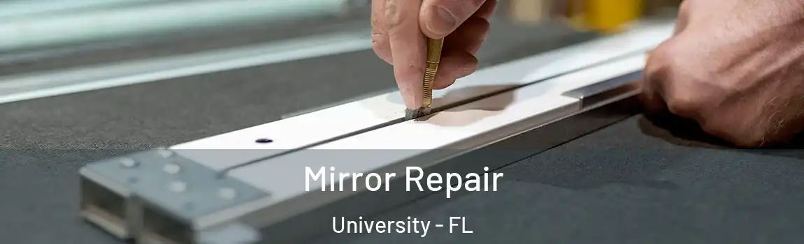  Mirror Repair University - FL