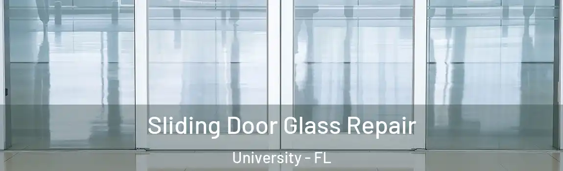  Sliding Door Glass Repair University - FL