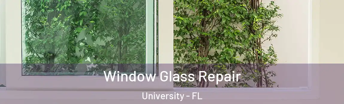  Window Glass Repair University - FL