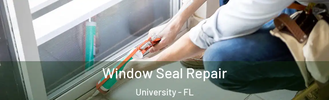  Window Seal Repair University - FL